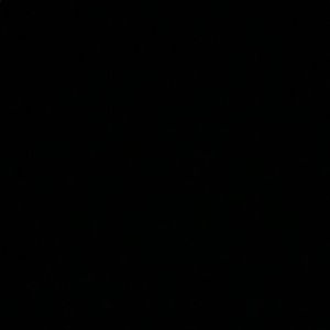 Meet your Posher, Alexia